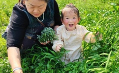 甘雨开胸襟澎湃